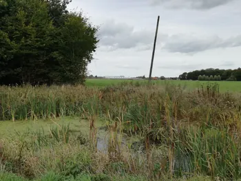 Galgebossen (Poperinge, Elverdinge, Vlamertinge) (Belgie)